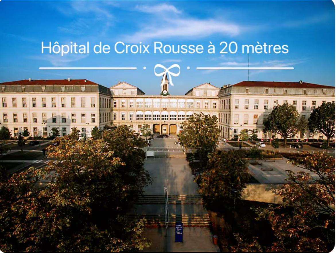 Art De Recevoir - L'Ecrin De Margnolles - Croix Rousse - Metro C-Cuire Caluire-et-Cuire Exterior photo